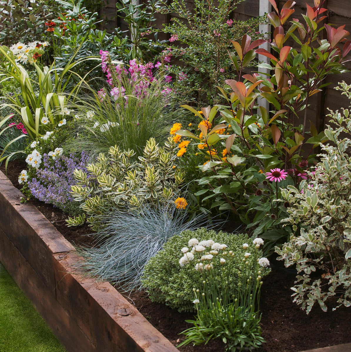 Care Guide for Sun Loving Plants | Garden on a Roll