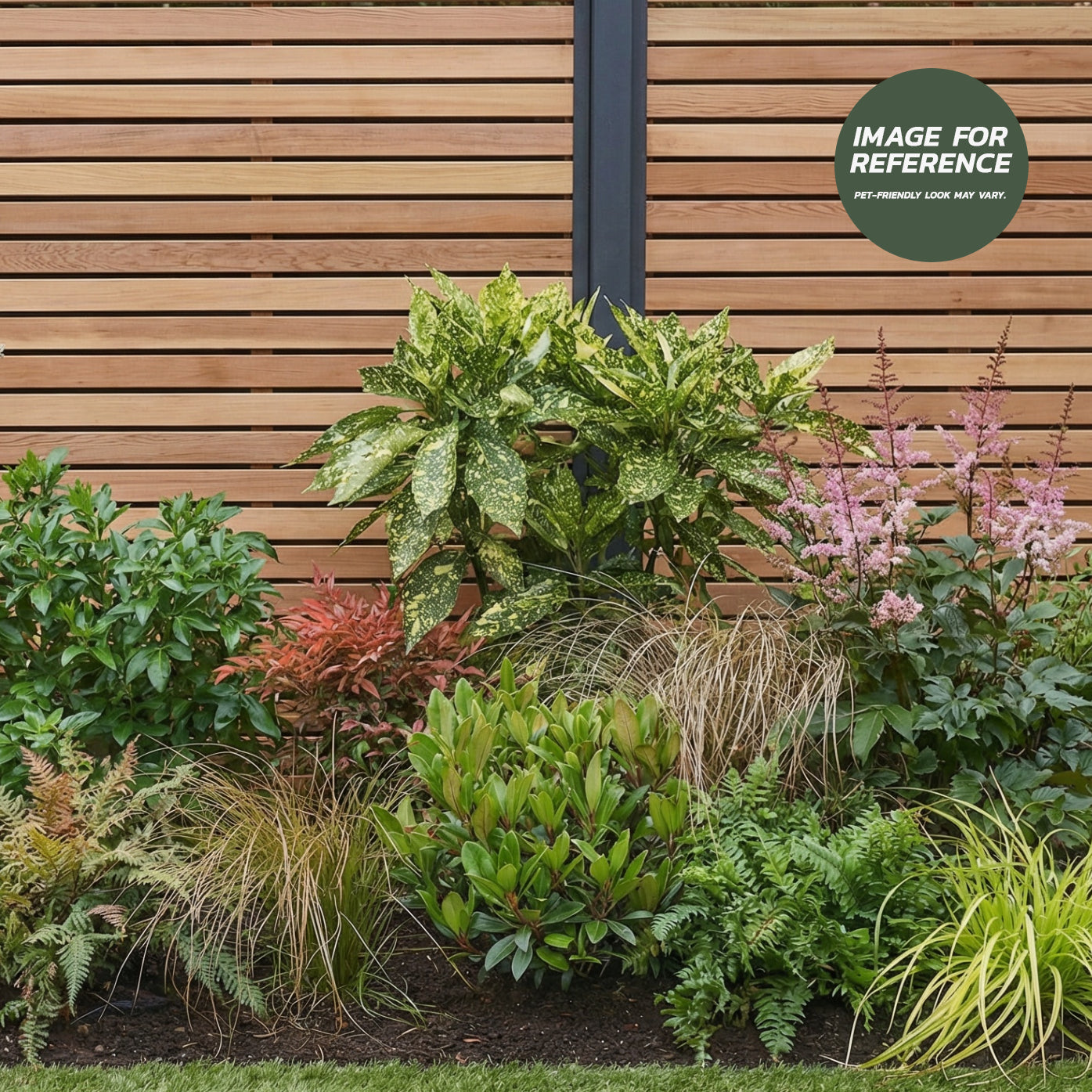 Shrubs and Plants for Shady Borders